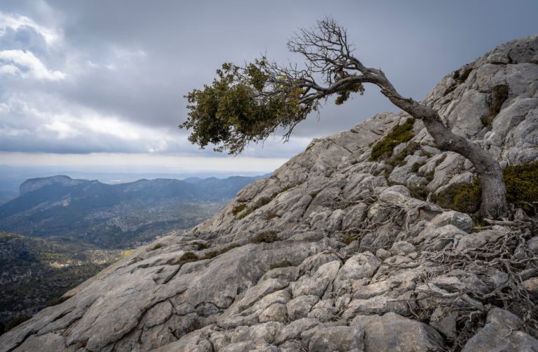 Brock Junction: The Importance of Resilience in Overcoming Trauma