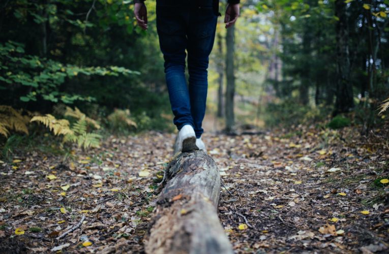Tips for Balancing your Hormones Naturally  in Brock Junction